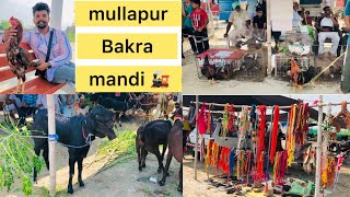 Mullapur Bakra Mandi tour vlog  live saudha Mullapur mandi [upl. by Merrell]