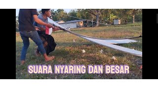 LAYANGAN SAWANGAN EMPAT METER SETENGAH DENGAN SUARA NGUKUK [upl. by James735]