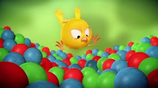 Wheres Chicky Funny Chicky 2021  THE BLUNDER  Chicky Cartoon in English for Kids [upl. by Nwahsit]