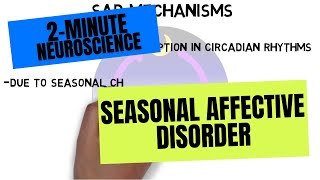 2Minute Neuroscience Seasonal Affective Disorder [upl. by Ramses346]