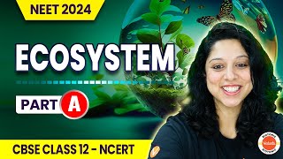 Ecosystem  Structure amp Function Productivity Decomposition amp Energy Flow Class 12  NEET 2024 [upl. by Aisena]