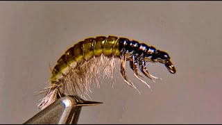 Oliver Edwards Tying the Hydropsyche Larva Fly Pattern [upl. by Anileh]