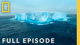 Antarctica Home at the End of the Earth Full Episode  Incredible Animal Journeys [upl. by Robbin]