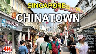 Chinatown Adventures in Singapore Food Heritage and Shopping [upl. by Frederico]