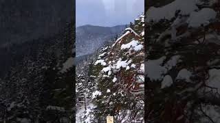 Winter Wonderland in Bavaria Germany 🇩🇪  Snowfall at Herzogstrand Mountain 🏔️ germany [upl. by Bree735]