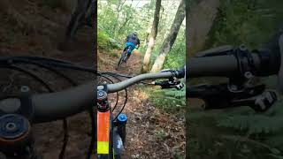 shorts 282  VTT MTB DH ENDURO RIDING [upl. by Carlina]