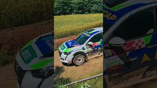 Rally erechim 2024 automobile rally shorts wrc [upl. by Etyam]