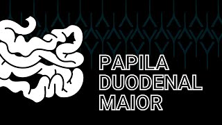 Papila duodenal maior [upl. by Nybor76]