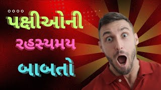 પક્ષીઓની રહસ્યમય બાબતો birds factsAmazing Facts  Unbelievable Facts [upl. by Nylac]