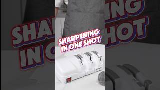 SHARPAL 198H Electric Knife Sharpenersharpal sharpening kitchen chefknife onetake foryou fyp [upl. by Anneirda51]