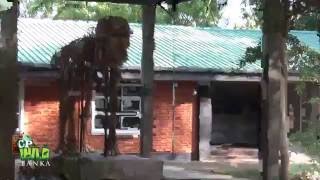 Eth Athuru Sevana – The First Elephant Transit Home in Asia [upl. by Millda756]