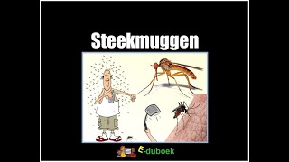 Steekmuggen groep 7 en 8 inkijkexemplaar [upl. by Romona631]