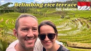 Bali travel guide Belimbing rice terrace Indonesia 21vlog [upl. by Robet55]