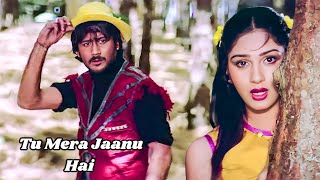 Tu Mera Jaanu Hai Tu Mera Dilbar Hai  Hero  Jackie Meenakshi  80s Hindi Hit Songs  Anuradha [upl. by Marinelli]