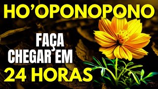 HOOPONOPONO PARA ATRAIR DESEJOS EM 24 HORAS [upl. by Higginson]