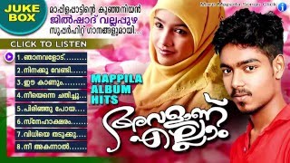 അവളാണ് എല്ലാം  Jilshad Vallapuzha Hit Mappila Pattukal  Mappila Album Songs New 2016 [upl. by Karalynn]