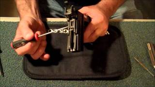 Sig Pro Hammer Box Disassembly and Reassembly [upl. by Vassell153]