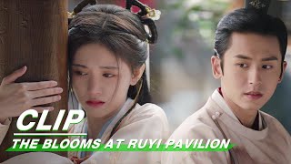 Clip Zhang Zhehan Treats Ju Jingyi‘s Foot  The Blooms At RUYI Pavilion EP09  如意芳霏  iQIYI [upl. by Mufi367]