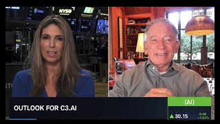 C3 AI CEO Tom Siebel on Schwab Network [upl. by Virgina413]