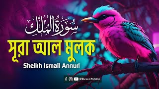 সূরা মূলক এর স্বর্গীয় কোরআন তেলাওয়াত  Surah Al Mulk  Sheikh Ismail Annuri  Quraner Poth [upl. by Olmsted]