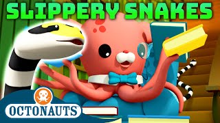 Octonauts  🌧️ Slippery Snakes 🐍  National Serpent Day  50 Mins Compilation [upl. by Markowitz]