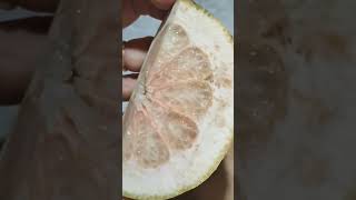 ASMR OPENING YELLOW POMELO FRUIT asmr slicing amazingfruit pomelo fruit satisfying shorts [upl. by Mahgirb]