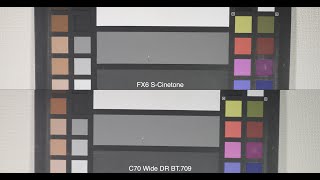 Sony FX6 SCinetone amp Canon C70 Wide DR BT709 Comparison [upl. by Notrem]