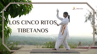 Los Cinco Ritos Tibetanos  SRMD Yoga  SRMD Spanish [upl. by Aztin]