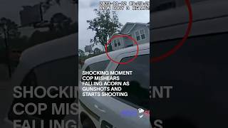 Shocking Moment Cop Mishears Falling Acorn As Gunshots and Starts Shooting shorts [upl. by Giefer572]