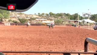 Caballos De Cattlemans Horse Sale by Rio Grand Classic [upl. by Karlene361]