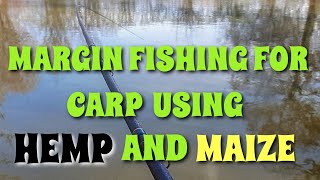 MARGIN FLOAT FISHING FOR CARP USING MAIZE AND HEMP [upl. by Kcered]