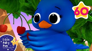 2 Little Dicky Birds  Nursery Rhymes and Kids Songs  Little Baby Bum  Animal for Kids [upl. by Yeldahc972]