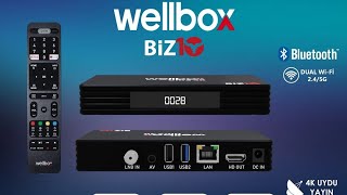 New Welbox Biz10 4K Android  Unboxing amp First Look [upl. by Adlog951]