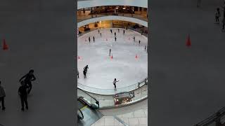 Skating Rink Lloyd Center Mall [upl. by Hodge]