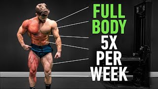 Full Body 5x Per Week Why High Frequency Training Is So Effective [upl. by Itnaihc]