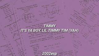 statistics  timothée chalamet lyricsletra [upl. by Shig]