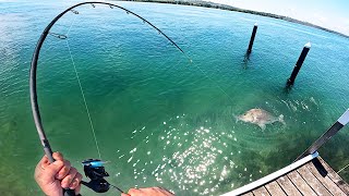 Extreme Light Tackle Jetty Fishing [upl. by Eirolav]