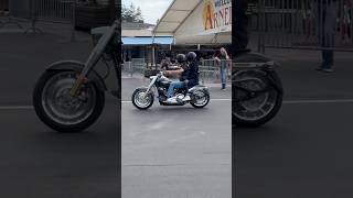 Harley Fat Boy harley fatboy softail [upl. by Adal]