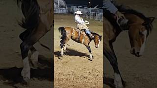 Wheatland ranch broncs got the W rank rodeo dontfeedwyatt ranchrodeo cowboys [upl. by Aelat636]