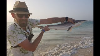 Shark Fishing Chaos  Cape Verde  Boa Vista [upl. by Akered44]