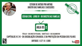 AULA 05  DA DISSOLUÇÃO CONJUGAL e DA PROTEÇÃO DA PESSOA DOS FILHOS [upl. by Jeggar]