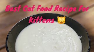 Best amp low budget Homemade Cat food for kittens 😸 very healthy and easy recipe [upl. by Etnaik]