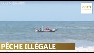 La pêche illégale met en lumière les disparités économiques au Cap [upl. by Amikahs]