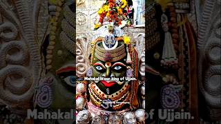 Mystery of Kaal Bhairav temple in Ujjain 🤫 shorts spirituality [upl. by Harret]