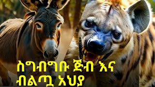 Greedy Hyena And Smart Donkey  ስግብግቡ ጅብ እና ብልጧ አህያ ፣ ኢትዮ ተረት ተረት [upl. by Efram]