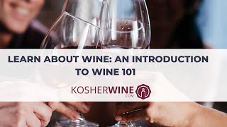 Learn About Wine An Introduction to Wine 101 from KosherWinecom Academy [upl. by Dibri]