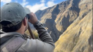 Bull Tahr Hunting New Zealand  2023 Teaser [upl. by Varney]