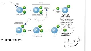 Radiation Biology [upl. by Carisa]