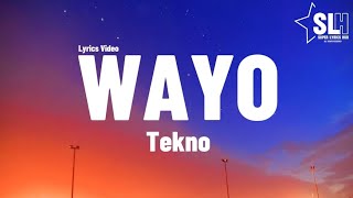 Tekno  Wayo Lyrics Video [upl. by Elvah]