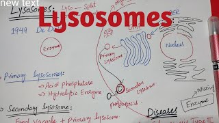 Lysosomes  Glycogensis type 2 disease Taysach disease class 11 biology [upl. by Fitzsimmons611]